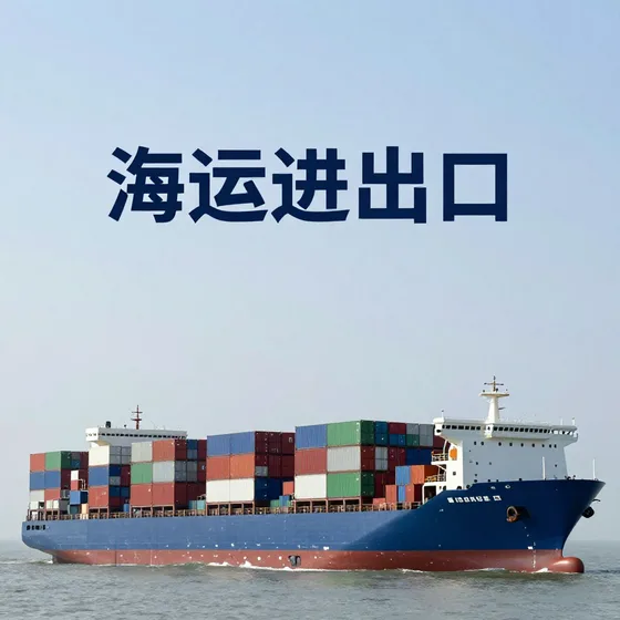 城思网络